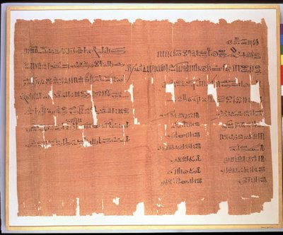 Závěť thébské dámy jménem Naunakhte, která rozděluje svůj majetek mezi děti ze dvou manželství, hieratický nápis, asi 1156-51 př. n. l. (papyrus) od Egyptian 20th Dynasty